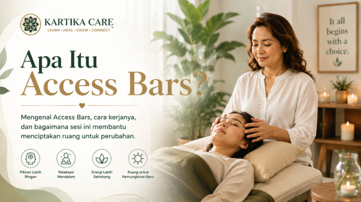 Artikel Access Bars